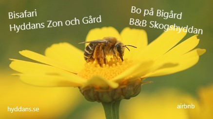 Bo på Bigård